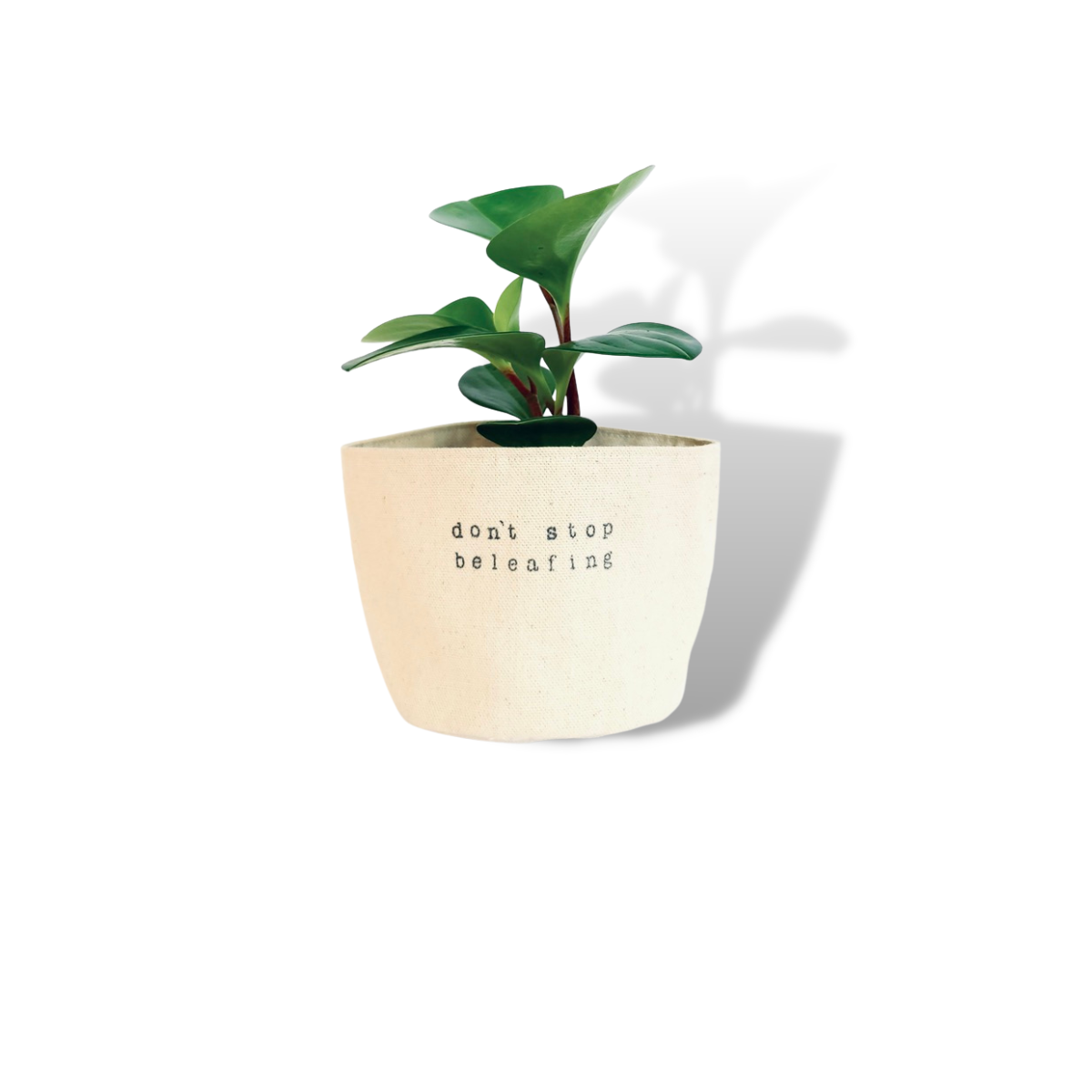 Don't Stop Be Leafing Planter