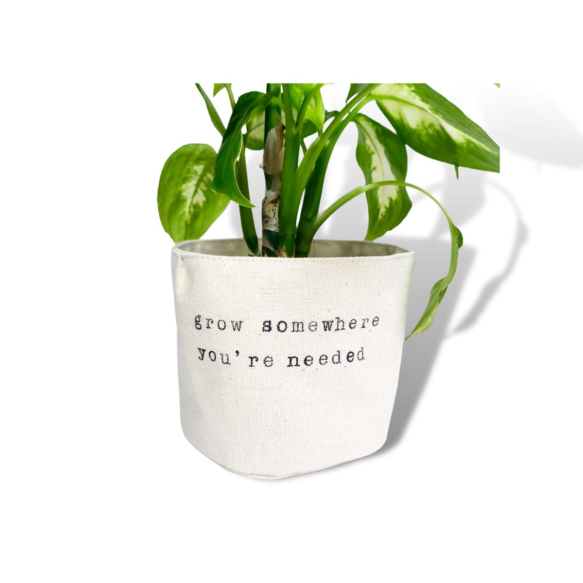Wholesale Grow Somewhere You're Needed Planter