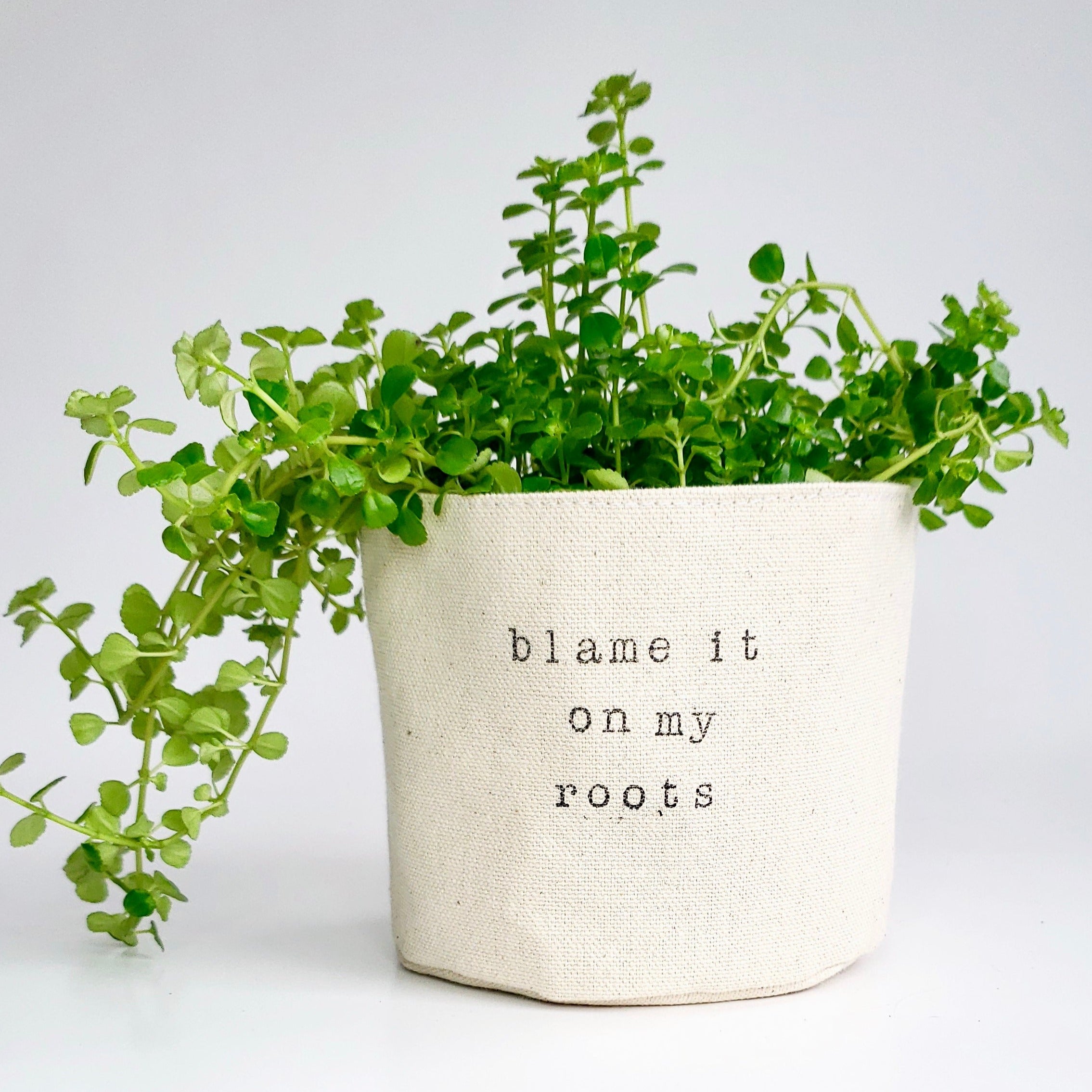 Blame it On My Roots Planter