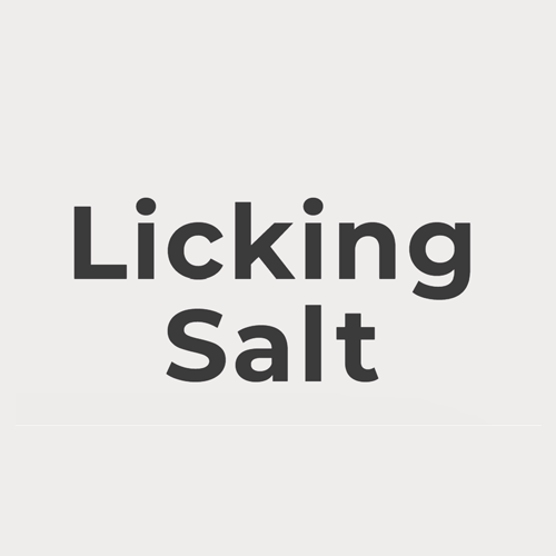 Licking Salt | Barrie, ON
