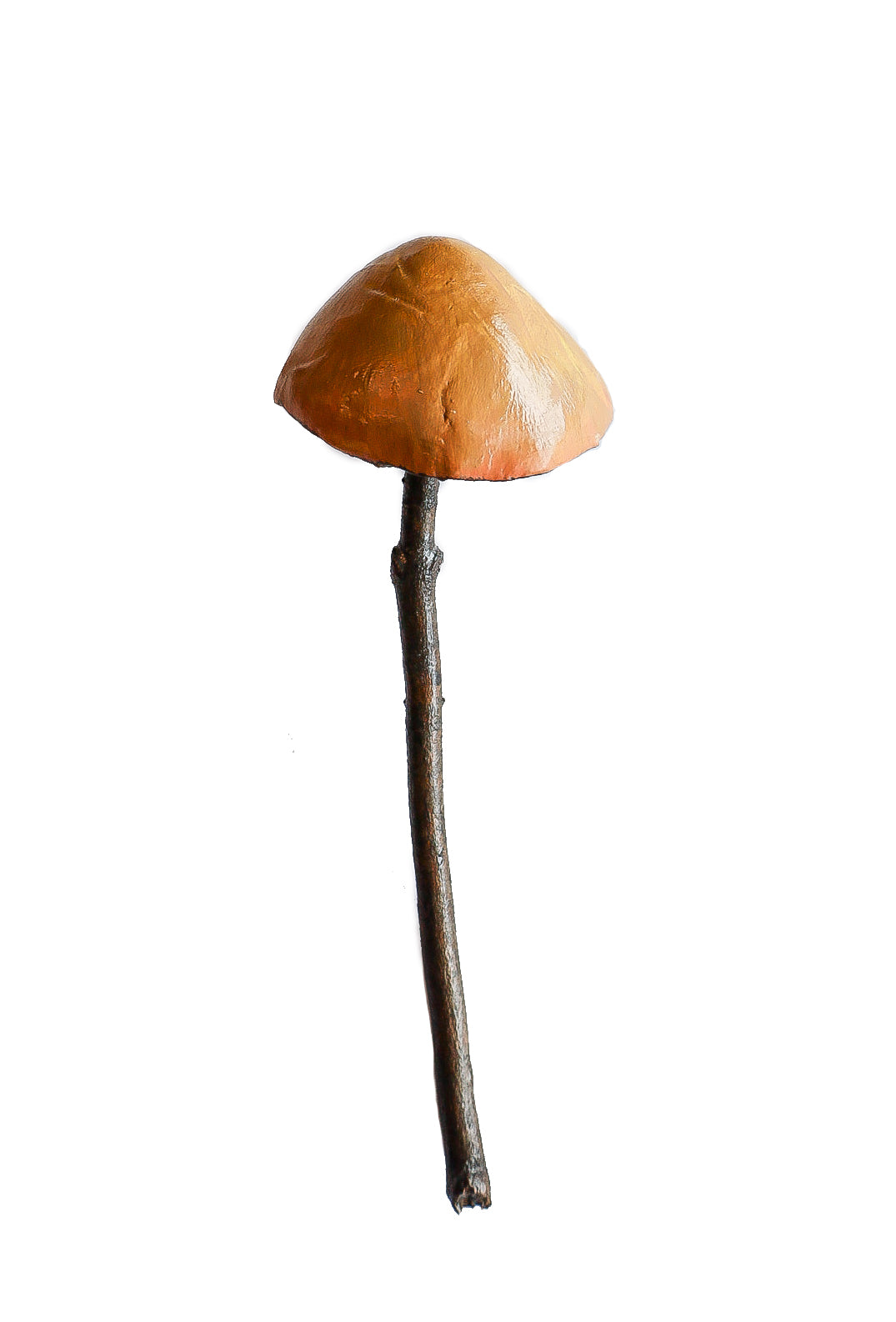 clay and wood mushroom sculpture 18 by Emma Lee Fleury