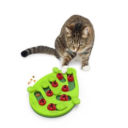 NINA CAT PUZZLE/PLAY BUG OUT GREEN