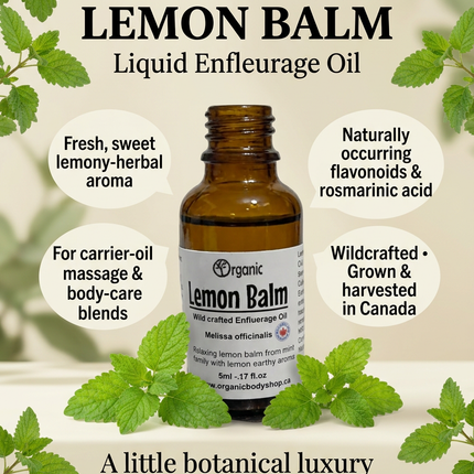 Lemon Balm Essential Oil. Lemon mint earthy aroma