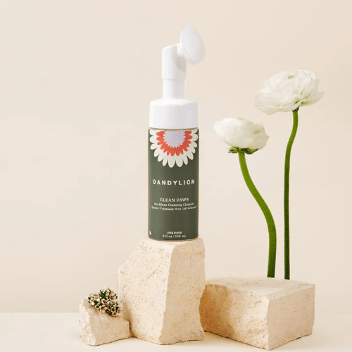 DANDYLION CLEAN PAWS N/R CLEANSER 150ML - Just Simcoe