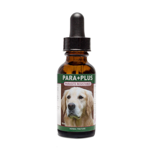 RIVAS REMEDIES PARA PLUS TINCTURE 50ML