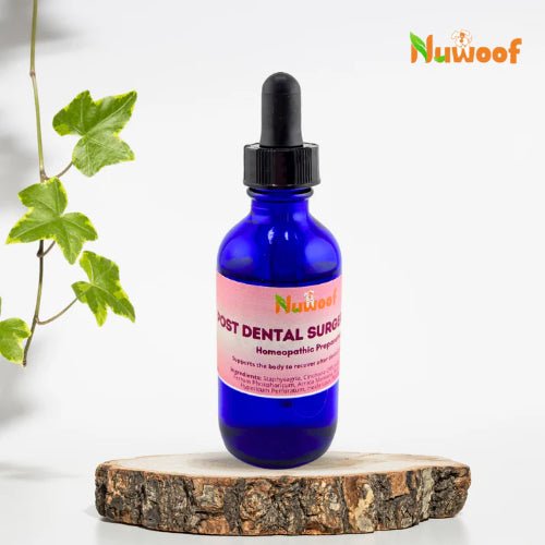 NUWOOF DENTAL POST SURGERY CARE 50ML - Just Simcoe