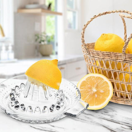 Citrus Reamer with Spout & Handle