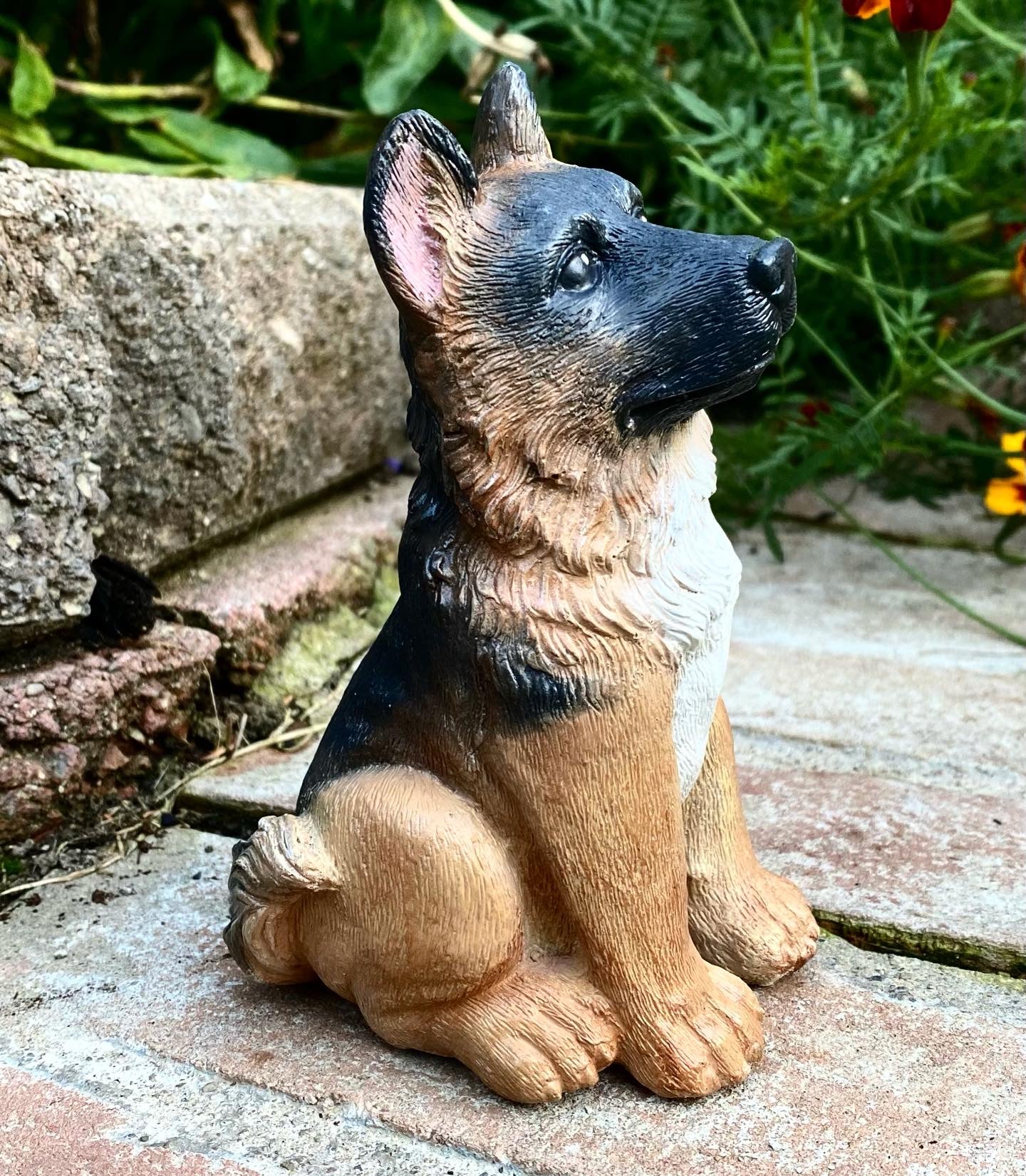 Dog Statue, Husky, Malamute, German Shepherd, Akita Statue, 3D Pet Portrait Available, Indoor/Outdoor Concrete Statue