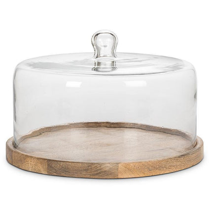 Large Covered Cheese/ Cake Dome