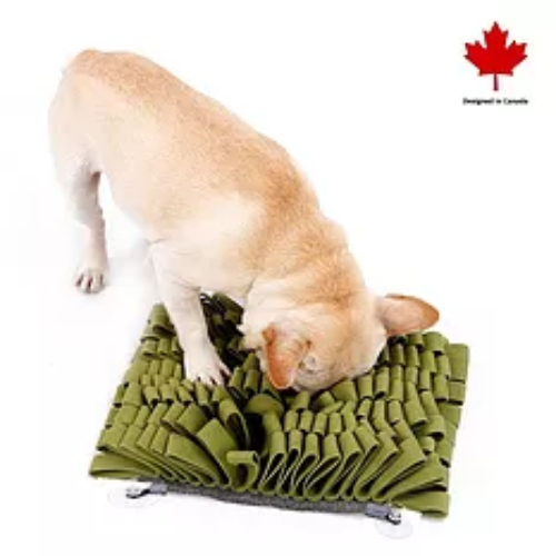 PAWZNDOGZ ANTI-BITE SNUFFLE MAT GRN LG