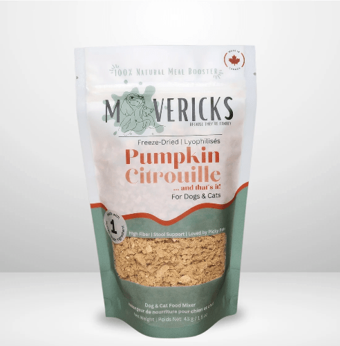 MAVERICKS FD PUMPKIN 43G - Just Simcoe