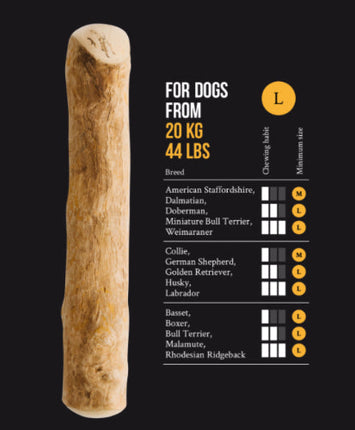 CANOPHERA COFFEE TREE DOG STICK LG