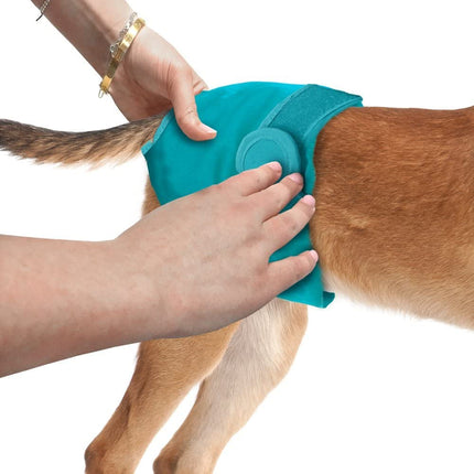 SS WASHABLE FEMALE DIAPER SM