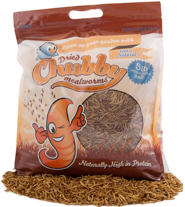 Chubby Dried Mealworms-5 LBS