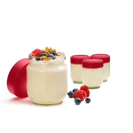 Leakproof Glass Jars Set of 4