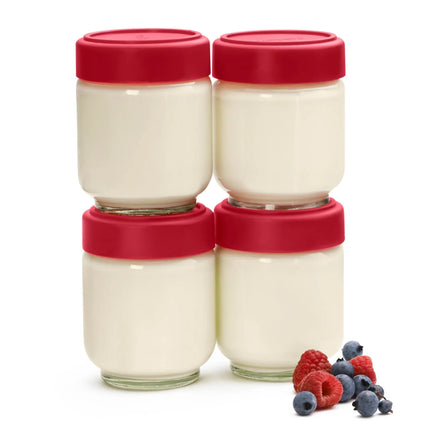 Leakproof Glass Jars Set of 4