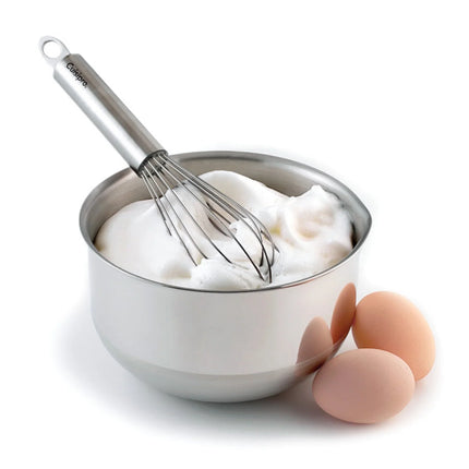 Stainless Steel Balloon Whisk