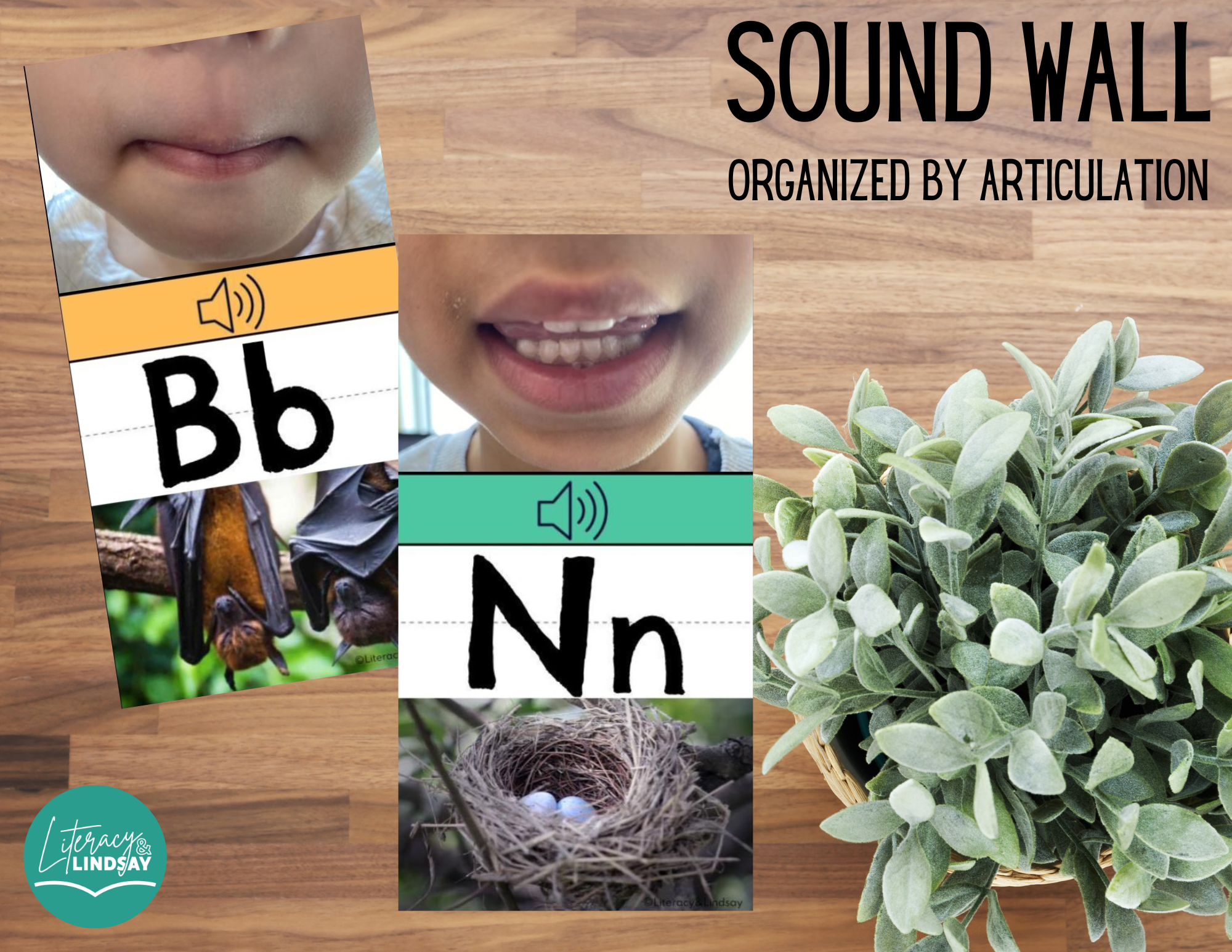 NEW Sound Wall Cards with diverse photos (organized by articulation)