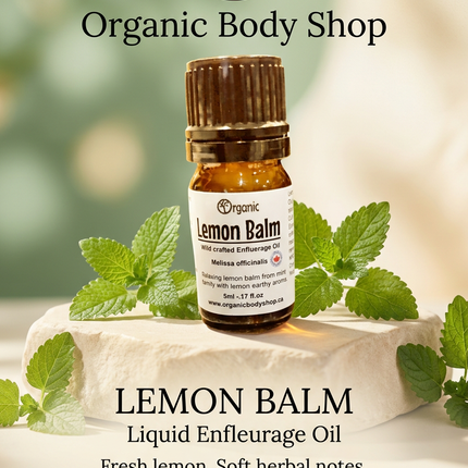 Lemon Balm Essential Oil. Lemon mint earthy aroma