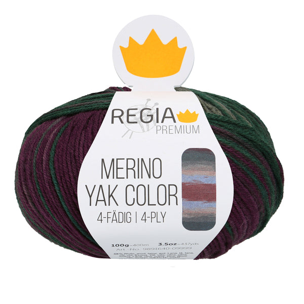 Regia Premium Merino Yak Color 4-Ply - 8506 Mountain Gradient