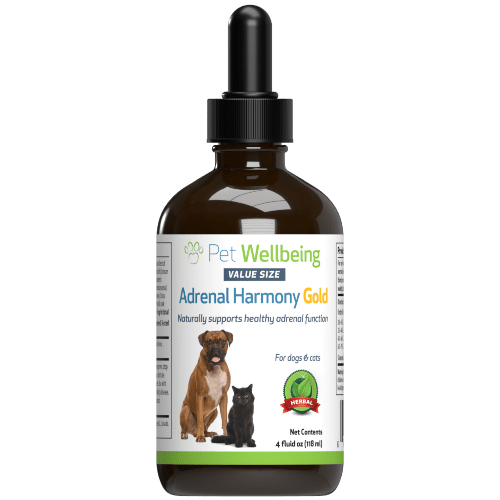 PET WELLBEING ADRENAL GOLD 4OZ - Just Simcoe
