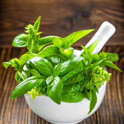Basil Olive Oil - JustSimcoe.ca