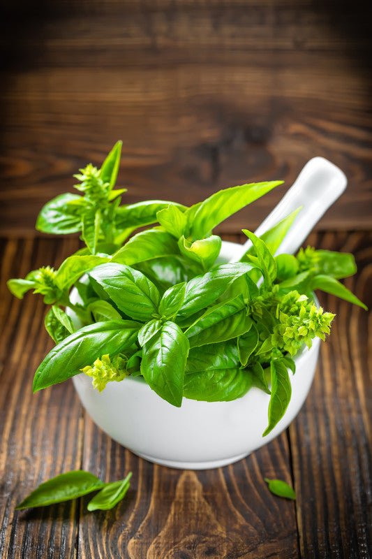 Basil Olive Oil - JustSimcoe.ca