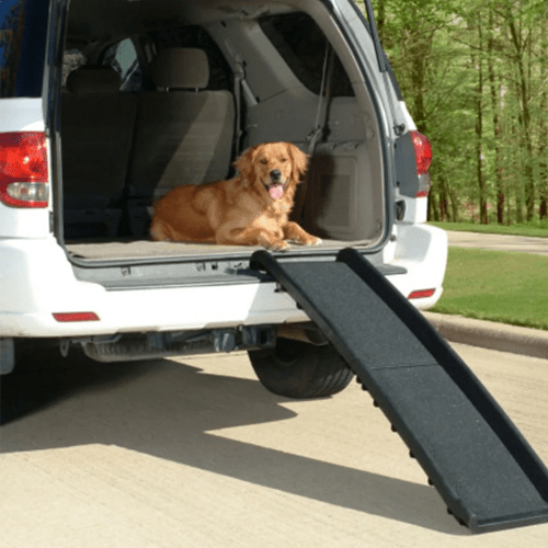 PETSAFE HAPPY RIDE FOLDING PET RAMP - Just Simcoe