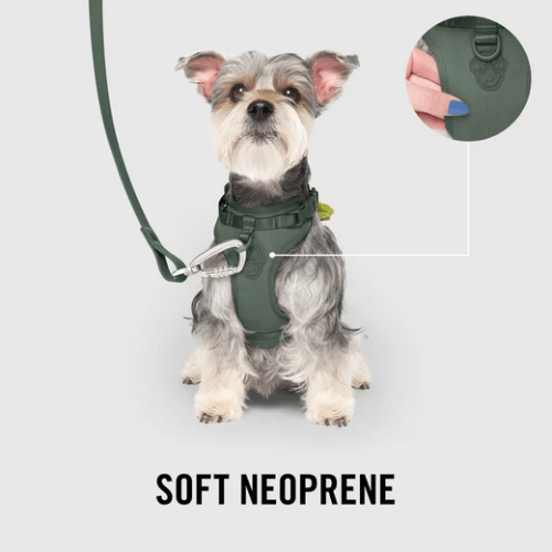 CAN POOCH EVERY HARNESS W/DISP GRN MED - Just Simcoe
