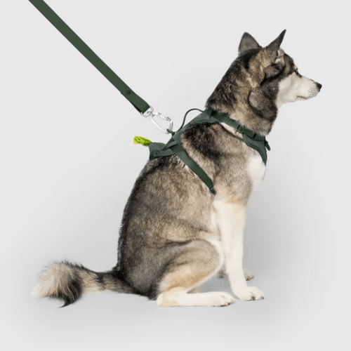 CAN POOCH EVERY HARNESS W/DISP GRN XLG - Just Simcoe