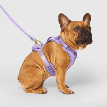CAN POOCH EVERY HARNESS W/DISP LAV XL - Just Simcoe