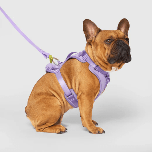 CAN POOCH EVERY HARNESS W/DISP LAV XL - Just Simcoe