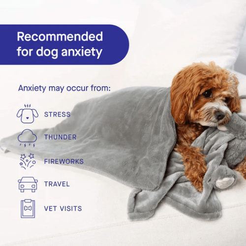 CAN POOCH WEIGH BLANKET GREY XSM - Just Simcoe
