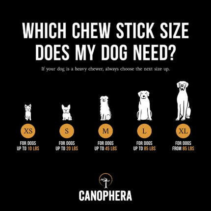 CANOPHERA COFFEE TREE DOG STICK XLG - Just Simcoe