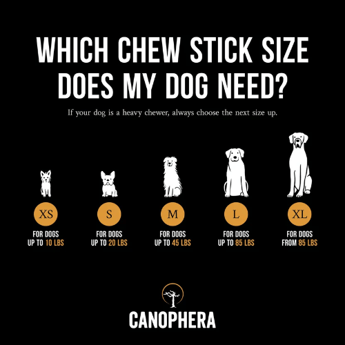CANOPHERA COFFEE TREE DOG STICK XLG - Just Simcoe