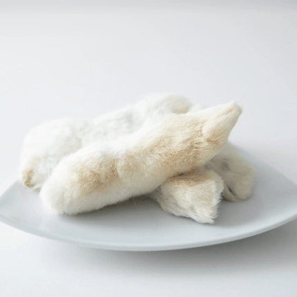 GVQPT RABBIT FEET/FUR BULK - Just Simcoe