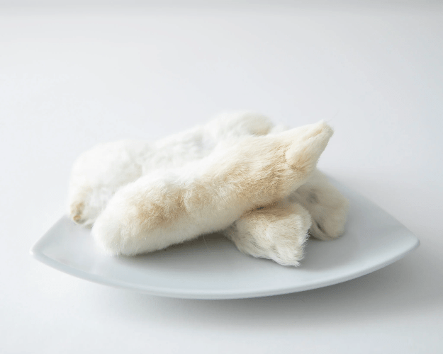 GVQPT RABBIT FEET/FUR BULK - Just Simcoe
