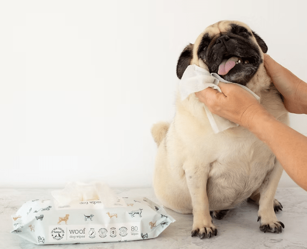 NZ WOOF MANUKA HONEY WIPES 80CT - Just Simcoe
