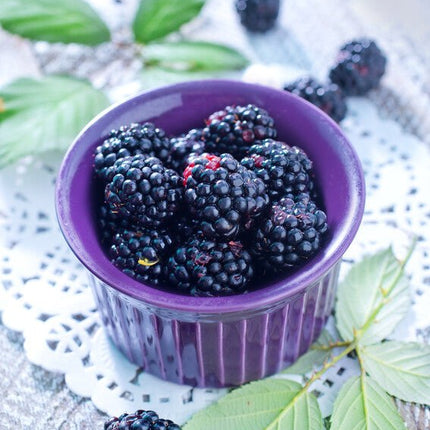 Blackberry Ginger Dark Balsamic - JustSimcoe.ca