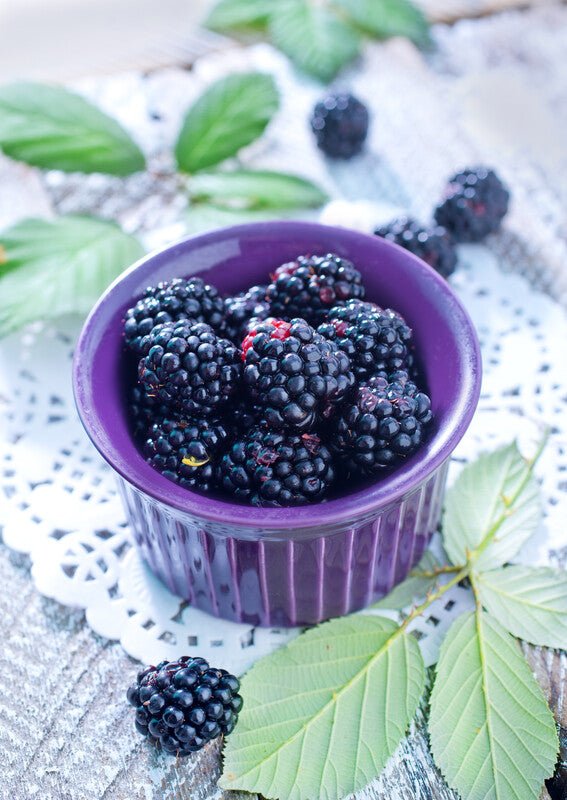 Blackberry Ginger Dark Balsamic - JustSimcoe.ca