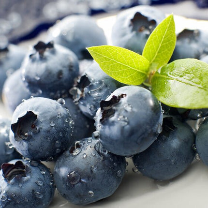 Blueberry Dark Balsamic - JustSimcoe.ca