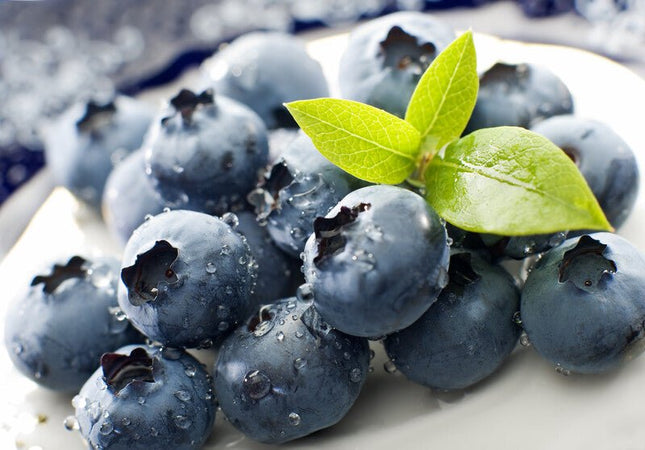 Blueberry Dark Balsamic - JustSimcoe.ca