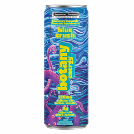 Collective Arts Brewing Botany Energy - Blue Crush | Blueberry Lemonade Energy Drink