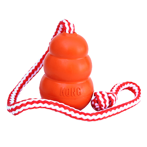 KONG AQUA ORIGINAL ORANGE LG - Just Simcoe