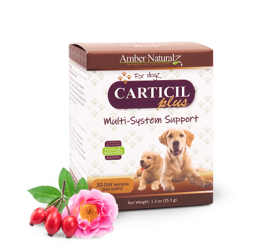 AMBER NAT CARTICIL PLUS 1OZ - Just Simcoe