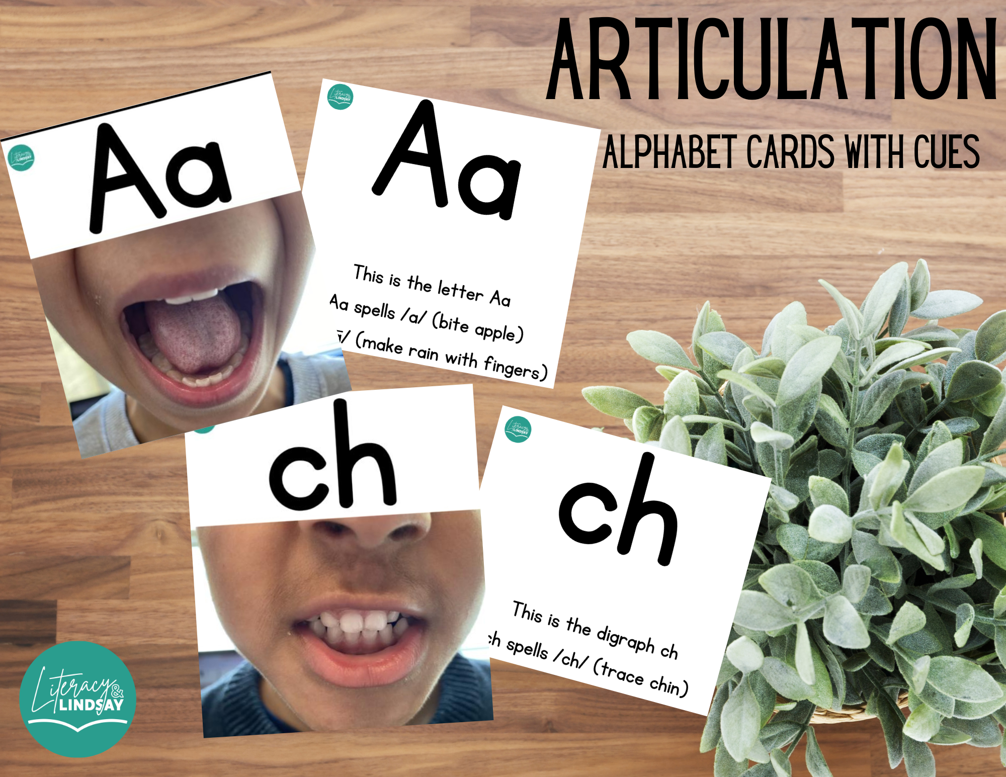 Articulation Manual (Scripts and Gestures)