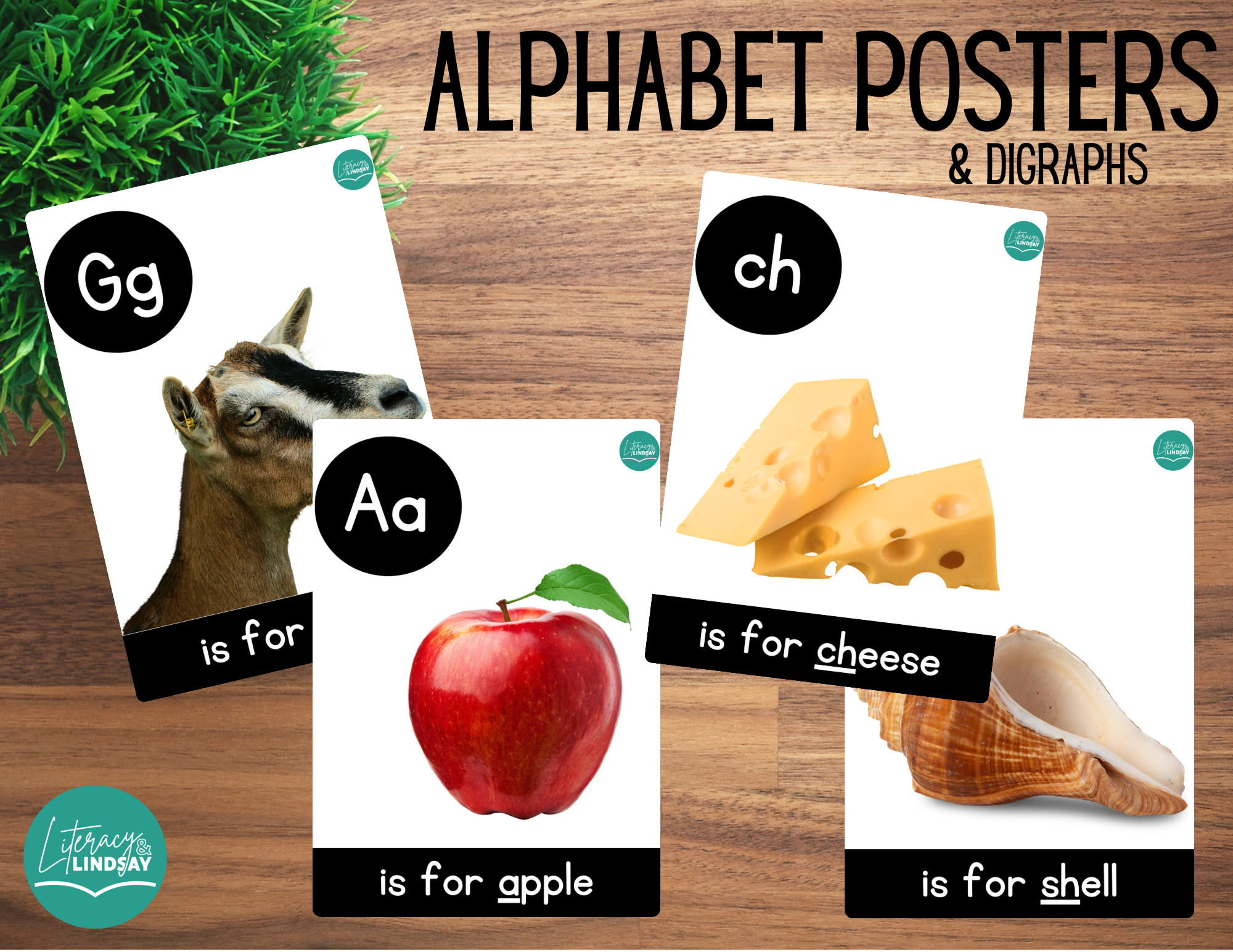 Alphabet Poster BUNDLE