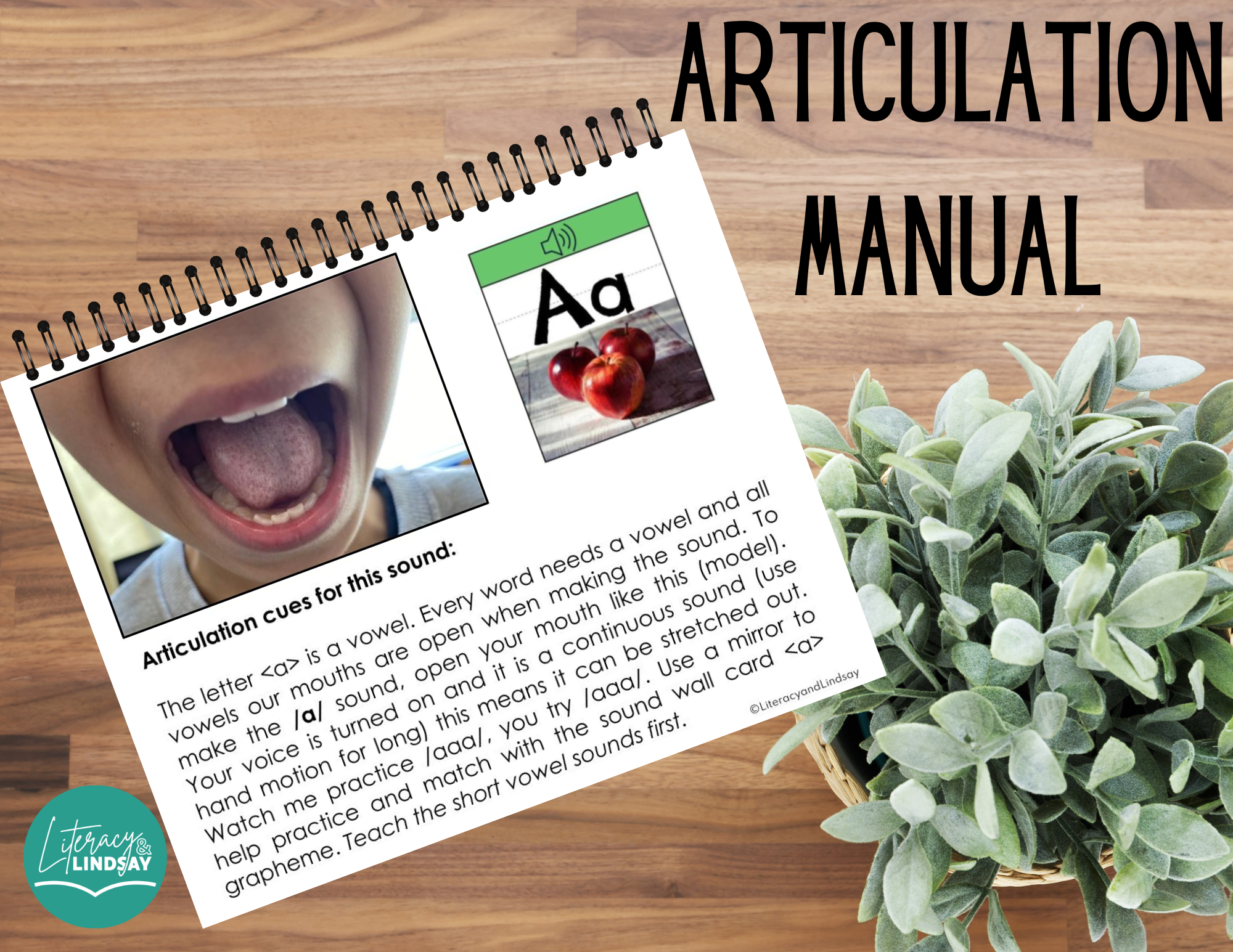 Articulation Manual (Scripts and Gestures)