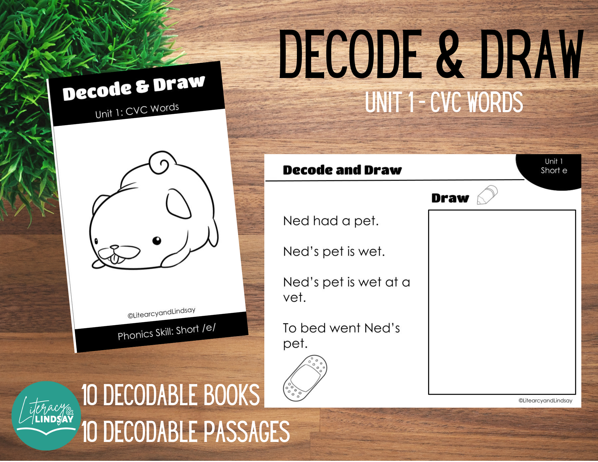 Decode & Draw - CVC Words