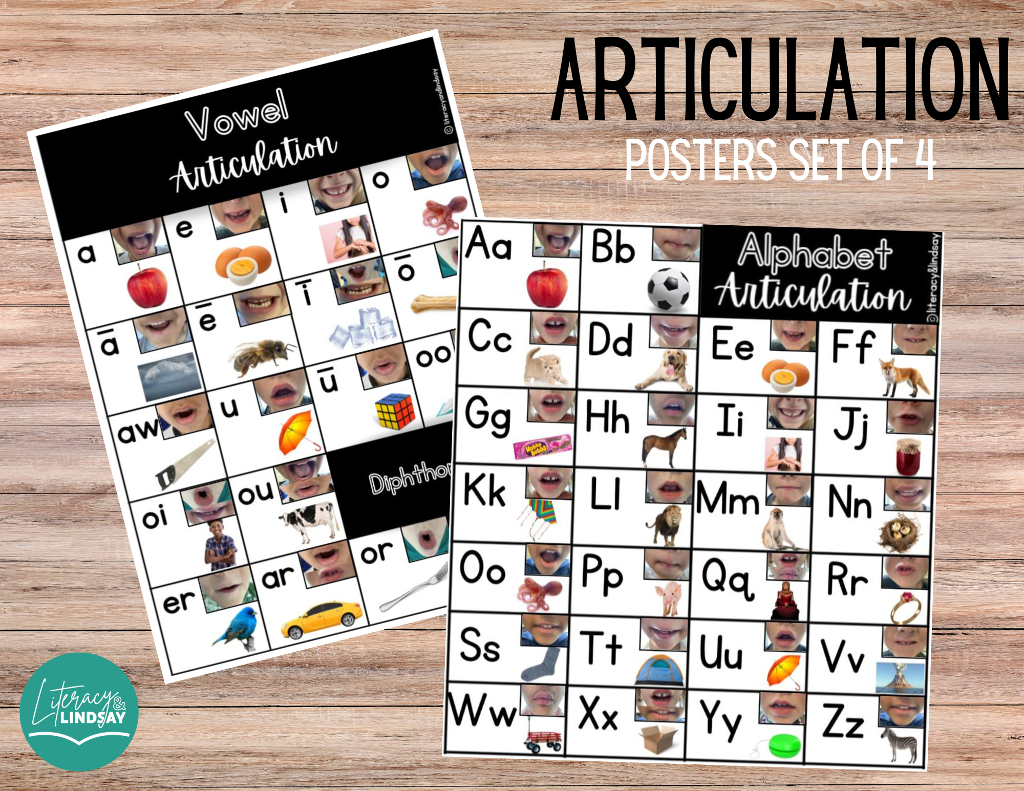 Articulation Posters